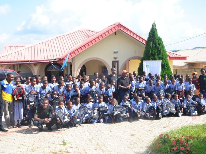 IAF Mentorship Programme